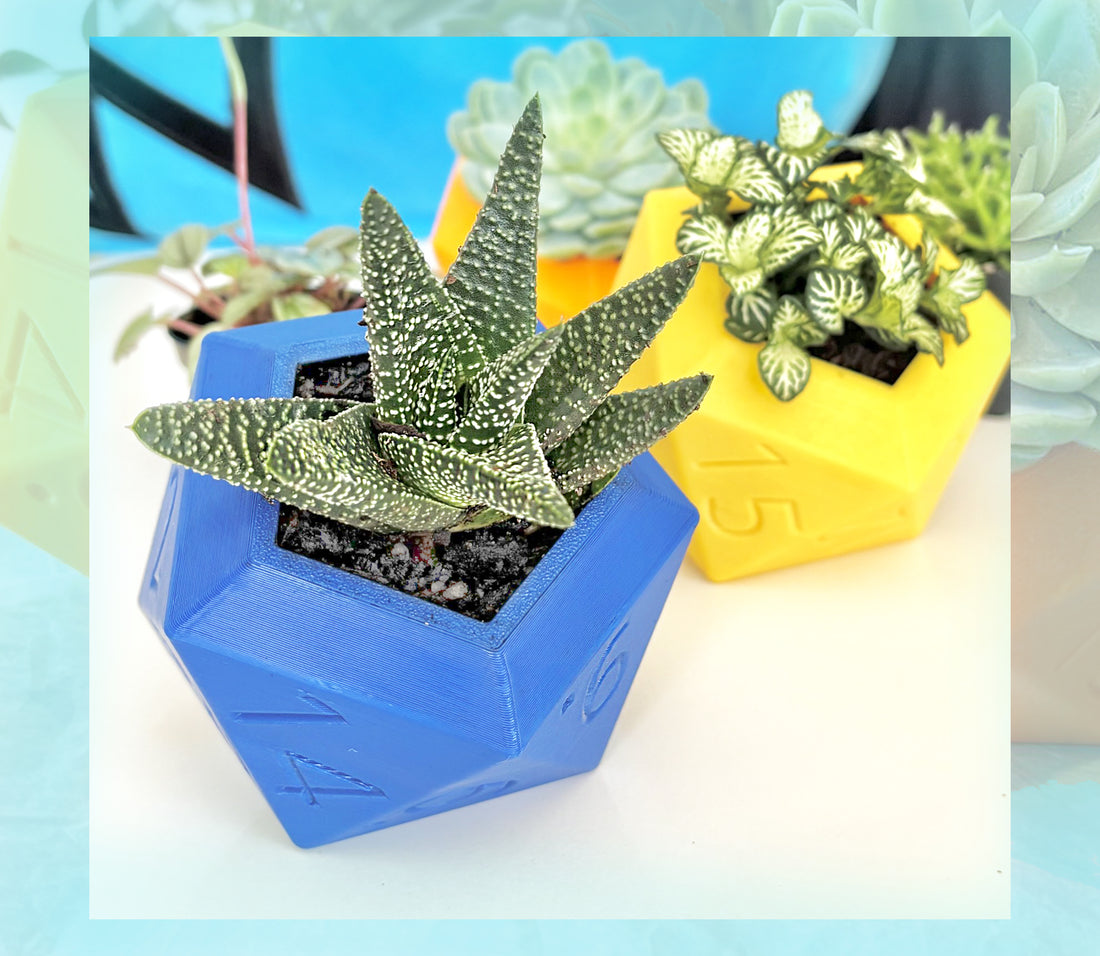 D20 Dice Planter KimWestART
