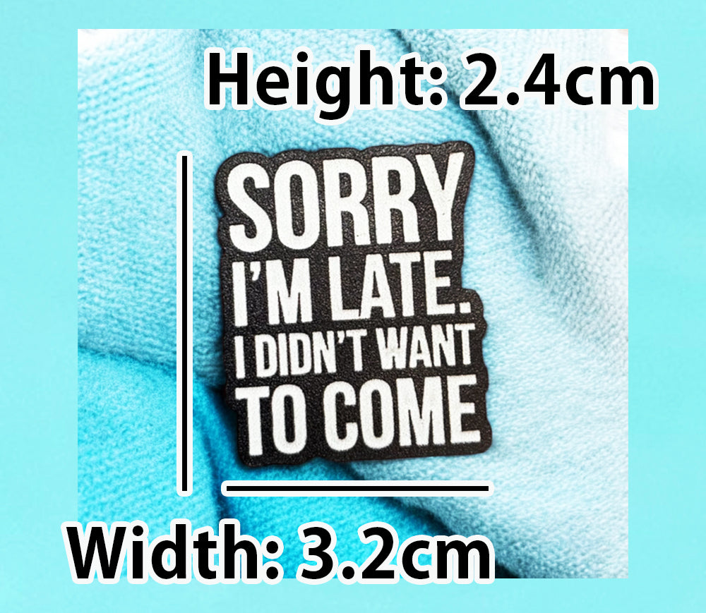 Funny Sarcastic Pin Sorry I&