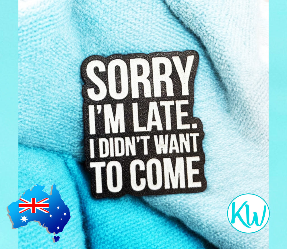 Funny Sarcastic Pin Sorry I&