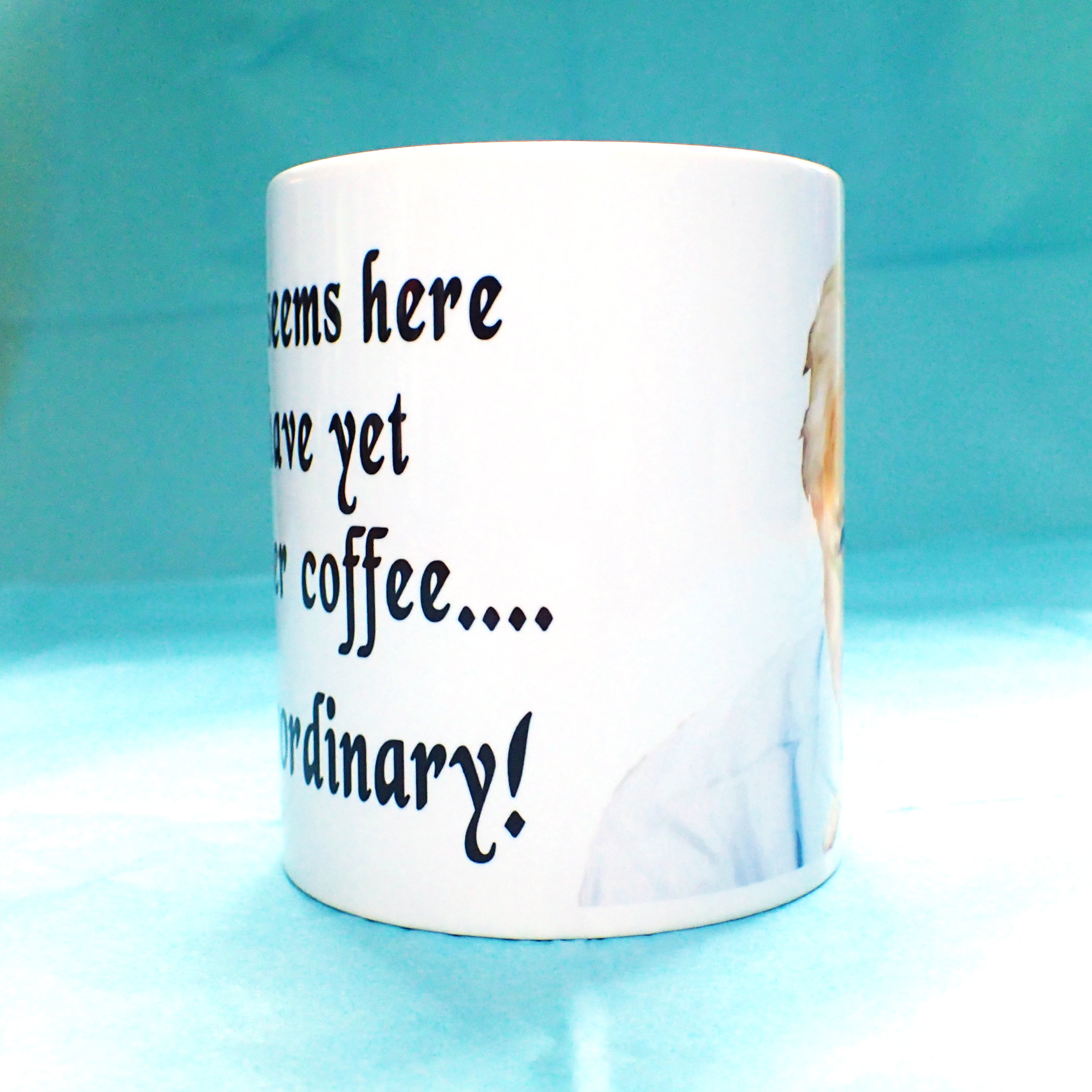 David Attenborough Funny Novelty Mug KimWestARt