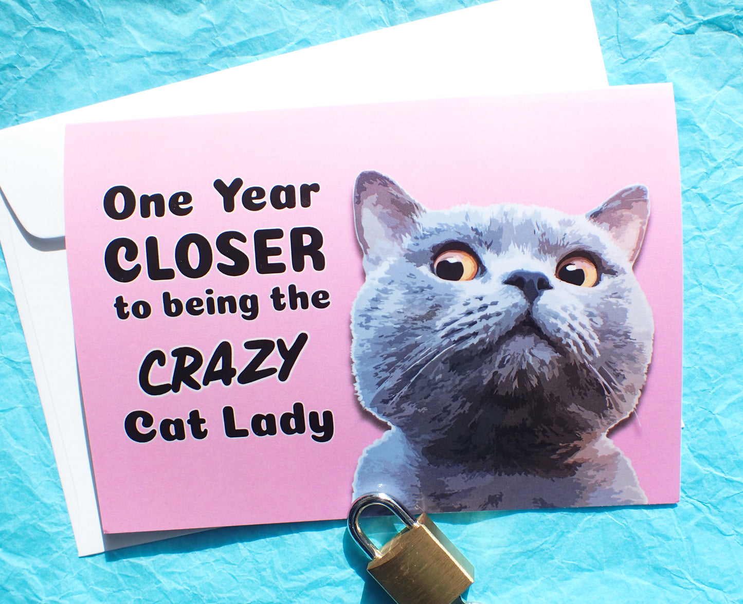 Crazy Cat Lady Funny Birthday Card KimWestARt